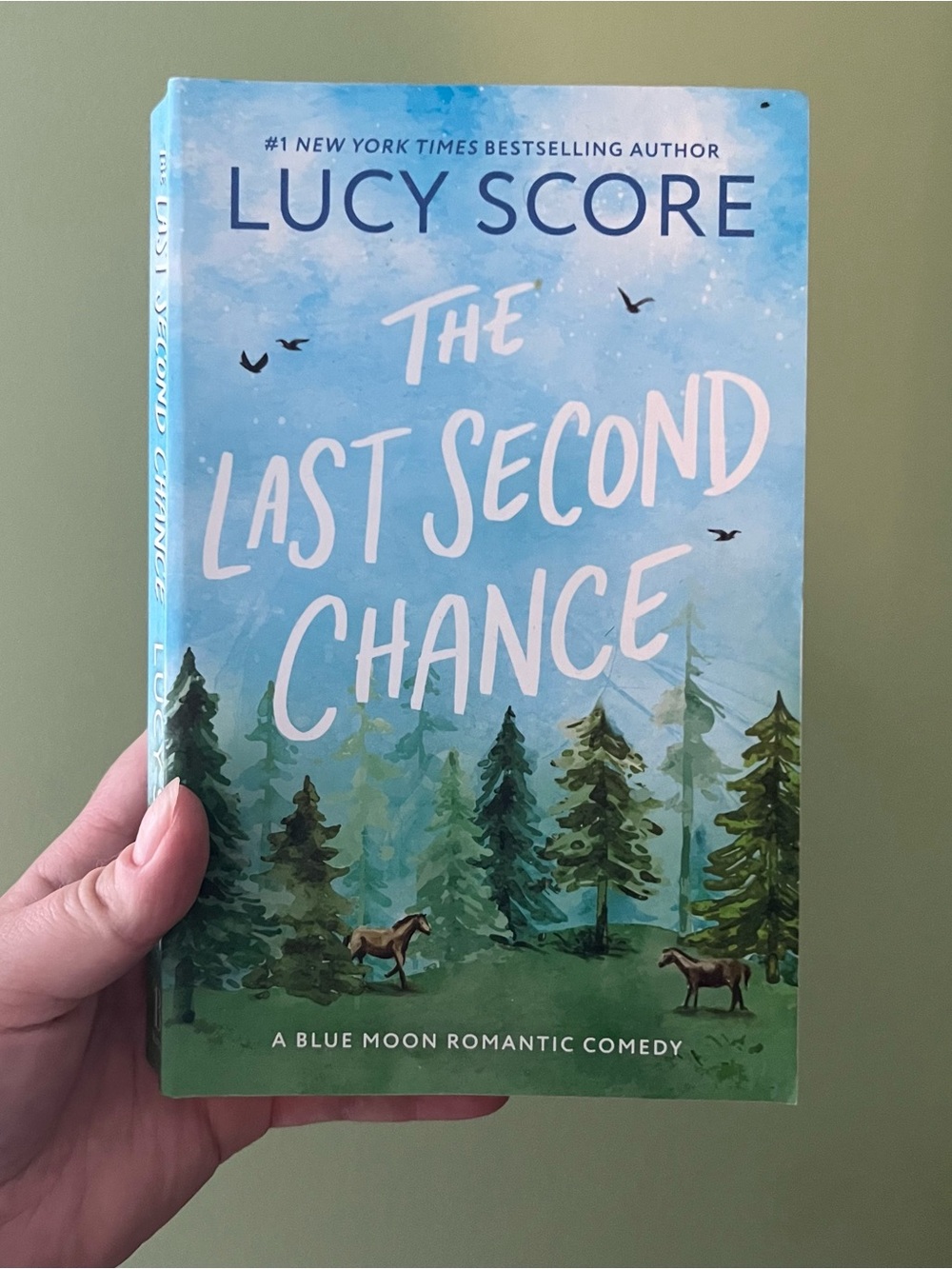 📚 4/25$📚 The Last Second Chance by Lucy Score